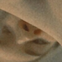 Allidolli Nue