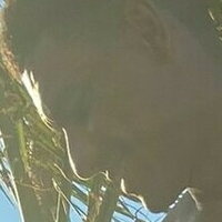 andres_stones Nue
