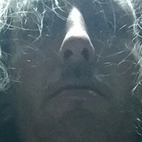 cbadonis Nue