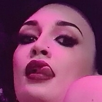 cheshkinafree Nue