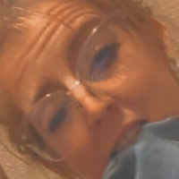 gingersnapbratt Nue