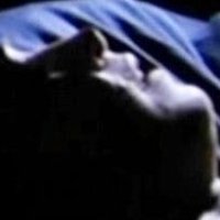Jenny Schilly Nue