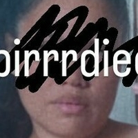 mzbirrrdiee Nue