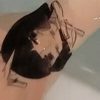 s2x6974892 Nue