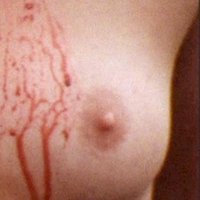 Shelly York Nue