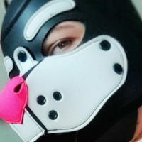 vixxypup Nue